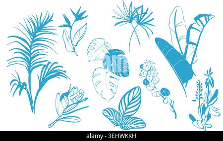Collezione di foglie botaniche tropicali Illustrazione Vettoriale