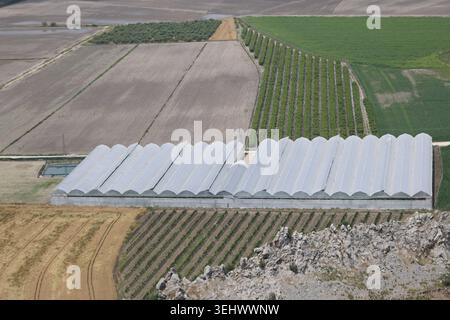 Vista aerea ad angolo alto del paesaggio rurale agricolo con campi coltivati e serre moderne Foto Stock