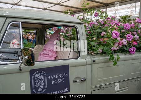 Mostre nel padiglione al Chelsea Flower Show Foto Stock