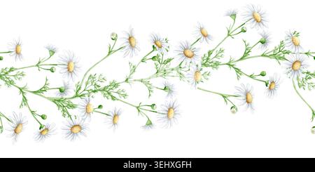 Bordo senza cuciture di acquerello con fiori di camomilla selvatici e foglie verdi isolate su sfondo bianco. Cornice floreale per inviti di nozze, Foto Stock