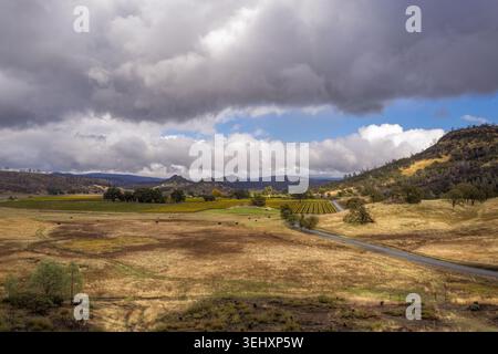 Un bellissimo paesaggio ad ampio angolo che mostra motivi di sole e ombra che si snodano sulle colline verdi ondulate e sui vigneti della valle alla Langtry Farms Winery Foto Stock