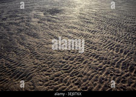 Una calda luce mattutina che spazia tra i segni di ondulazione della marea sulla sabbia creando un'ombra forte e un motivo di consistenza sulla spiaggia con la bassa marea Foto Stock
