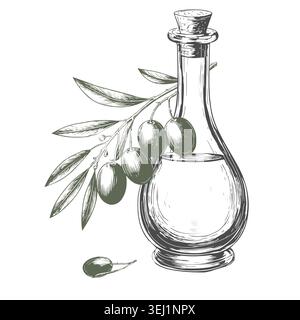 Una bottiglia di olio d'oliva e un rametto d'oliva, schizzo. Illustrazione vettoriale. Un ramo di un olivo con frutti e un decanter con olio, il disegno è Illustrazione Vettoriale