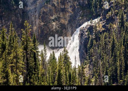 Upper Falls dal punto panoramico Lower Falls, Grand Canyon of the Yellowstone, Yellowstone National Park, USA Foto Stock