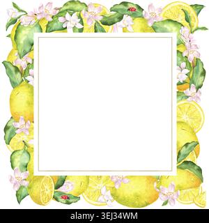 Cornice quadrata con limoni acquerelli, fette, foglie verdi, fiori rosa e coccinelle. Illustrazione dipinta a mano. Adatto per inviti, saluti Foto Stock