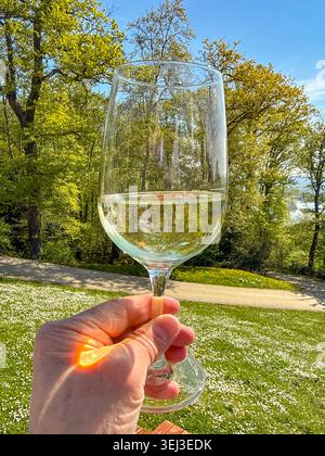 Primo piano di una persona durante un picnic che regala un bicchiere di vino bianco freddo sul paesaggio di un parco Foto Stock