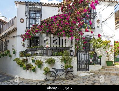 Una facciata dell'edificio dipinta di bianco decorata con vibranti bouganville rosa, vasi di fiori verdi e una bicicletta d'epoca parcheggiata sulla strada acciottolata, ES Foto Stock