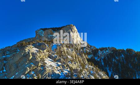 Il Monte Charleston, con il suo picco innevato, e gli alberi sotto il cielo azzurro Foto Stock