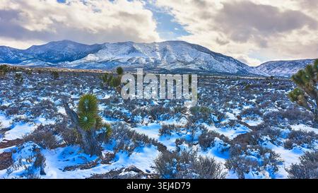 Joshua Trees ricoperti di neve e Sagebrush con il Monte Charleston nel paesaggio invernale Foto Stock