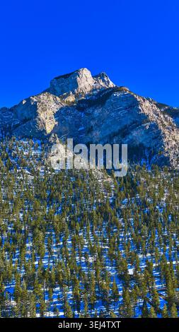 Foresta di pini ricoperta di neve e Rocky Peak sotto il Blue Sky Mt Charleston, Nevada Foto Stock