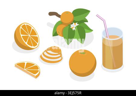 Set piatto isometrico 3D di frutta d'arancia, intera e fette, ramificazione con foglie Foto Stock