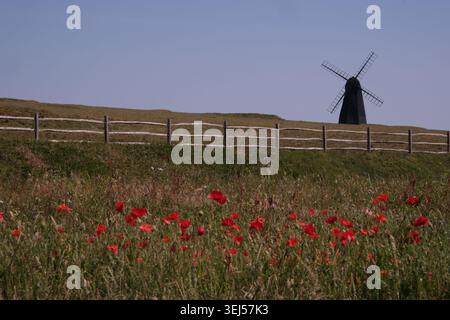 The Old Windmill, un mulino a vento in legno nero a Beacon Hill visto dietro un campo di papaveri rossi a Rottingdean East Sussex, Inghilterra, Regno Unito Foto Stock