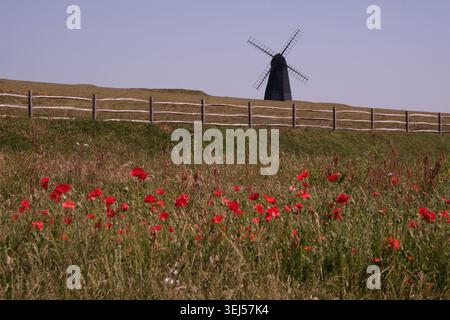 The Old Windmill, un mulino a vento in legno nero a Beacon Hill visto dietro un campo di papaveri rossi a Rottingdean East Sussex, Inghilterra, Regno Unito Foto Stock
