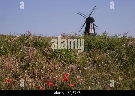 The Old Windmill, un mulino a vento in legno nero a Beacon Hill visto dietro un campo di papaveri rossi a Rottingdean East Sussex, Inghilterra, Regno Unito Foto Stock