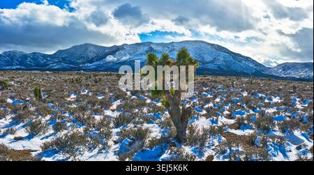 Panorama innevato deserto di Joshua Tree e Mount Charleston Winter Nevada Foto Stock