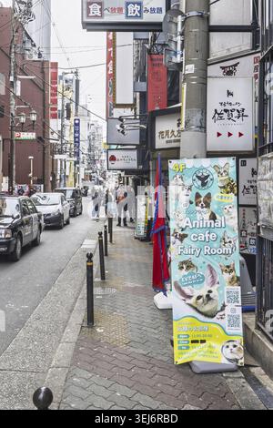 Osaka, Giappone - 31 marzo 2025: Sala delle fate del caffè abbracciato dagli animali a Osaka, Giappone Foto Stock