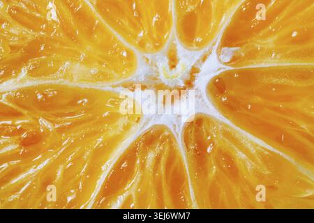 Shot macro di una fetta di arancio. Taglio di frutta d'arancia da vicino Foto Stock