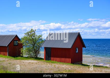 17 maggio 2026, Svezia, Byxelkrok: Il paesaggio sul lato occidentale dell'isola svedese di Öland nel Mar Baltico. Con le sue ampie pianure costiere e le impressionanti lastre calcaree, Öland è una delle isole più scenicamente diversificate della Svezia. Villaggi con case in legno rosso, mulini a vento e prati aperti sono punteggiati lungo la stretta isola, conferendole il suo tipico carattere scandinavo. Öland è particolarmente nota per la sua miscela di natura, geologia e paesaggio culturale tradizionale, che attrae numerosi visitatori ogni anno. Foto: Patrick Pleul/dpa Foto Stock