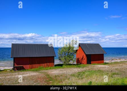 17 maggio 2026, Svezia, Byxelkrok: Il paesaggio sul lato occidentale dell'isola svedese di Öland nel Mar Baltico. Con le sue ampie pianure costiere e le impressionanti lastre calcaree, Öland è una delle isole più scenicamente diversificate della Svezia. Villaggi con case in legno rosso, mulini a vento e prati aperti sono punteggiati lungo la stretta isola, conferendole il suo tipico carattere scandinavo. Öland è particolarmente nota per la sua miscela di natura, geologia e paesaggio culturale tradizionale, che attrae numerosi visitatori ogni anno. Foto: Patrick Pleul/dpa Foto Stock