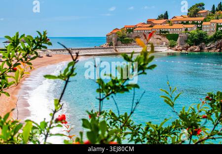 L'isola turistica di Sveti Stefan in Montenegro, con una spiaggia sabbiosa e un mare turchese incorniciato da vibranti foglie verdi e fiori rossi in primo piano Foto Stock