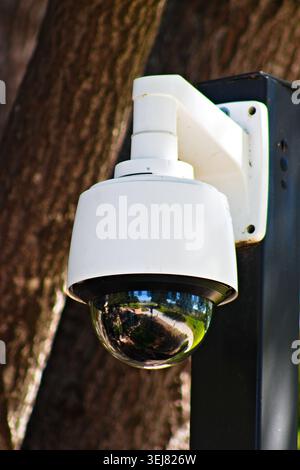 Telecamera di sicurezza esterna in giardino Foto Stock