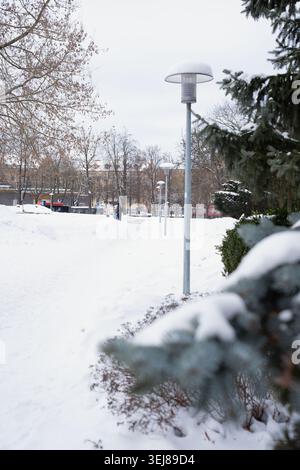 passerella del parco urbano coperto di neve fiancheggiata da alti lampioni e alberi sempreverdi, un pomeriggio invernale coperto di bianchi e grigi silenziosi, un lontano piedistallo Foto Stock
