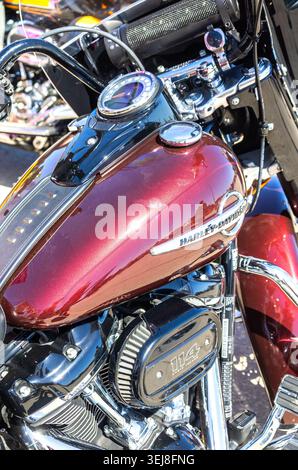 Samara, Russia - 23 maggio 2026: Logo Harley Davidson sul serbatoio carburante della motocicletta Foto Stock