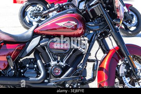 Samara, Russia - 23 maggio 2026: Logo Harley Davidson sul serbatoio carburante della motocicletta Foto Stock