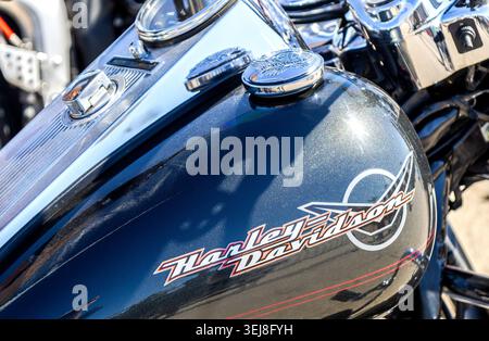 Samara, Russia - 23 maggio 2026: Logo Harley Davidson sul serbatoio carburante della motocicletta Foto Stock