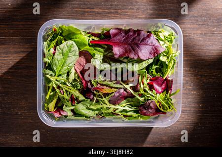 Foglie di insalata mista fresca in un contenitore di plastica su fondo di legno. Mescolare insalata biologica con rucola di spinaci e foglie di barbabietola in una plastica trasparente bo Foto Stock