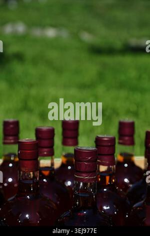 Uno scatto verticale ravvicinato che mostra file di bottiglie di vetro scuro riempite di liquore ambrato e sigillate con tappi rossi scuri. La metà superiore del telaio presenta le caratteristiche Foto Stock