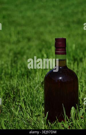 DESCRIPTIONA primo piano verticale di una bottiglia di vetro scuro riempita di alcool ambrato su un prato verde fresco. La ba splendidamente sfocata Foto Stock