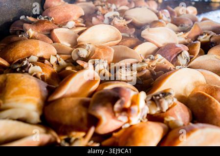 Primo piano del tradizionale pesce Cymbium utilizzato nella cucina senegalese, noto come yeet on table durante la lavorazione e la preparazione, parte della nutrizione africana A. Foto Stock