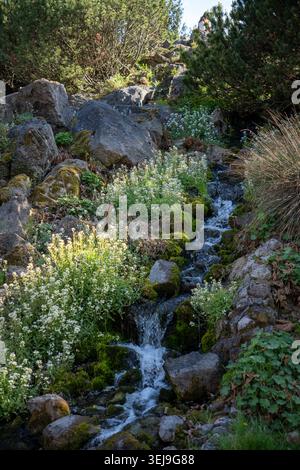 Un ambiente naturale sereno caratterizzato da un piccolo ruscello che scorre attraverso rocce e fiori selvatici in un paesaggio lussureggiante. Foto Stock