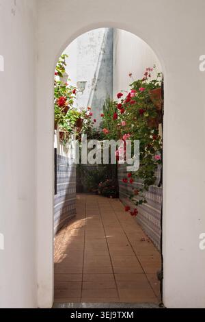 Porta ad arco dipinta di bianco che conduce in un vicolo con piastrelle marroni e tradizionali piastrelle blu sulle pareti con fiori rossi in cesti sospesi Foto Stock