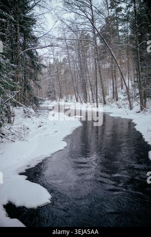 Gumböle, Finlandia - 10.12.2023: Sereno paesaggio invernale caratterizzato da un ruscello nero che si snoda tra sponde innevate in un fitto bosco Foto Stock