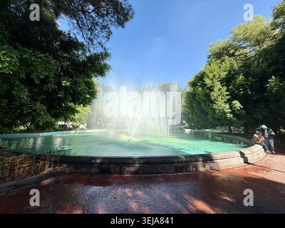 La fontana in Plaza Luis Cabrera spruzza acqua sotto gli alberi fitti di Roma Norte, città del Messico, offrendo un tranquillo spazio verde nel mezzo del cappio Foto Stock