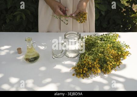 Una donna erborista prepara erba di erba di San Giovanni per fare olio medicinale. Primo piano Foto Stock
