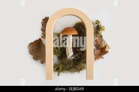 Un fungo con il tappo marrone circondato da muschio, posizionato sotto un arco di legno color pesca con foglie marroni ai lati. Posizione piatta. Primo piano Foto Stock