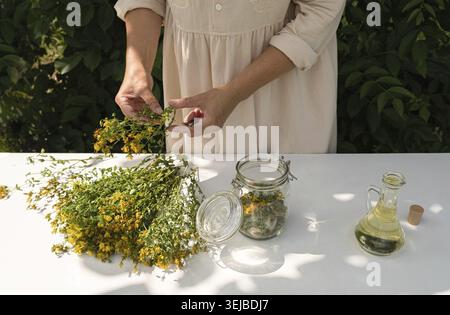 Una donna erborista prepara erba di erba di San Giovanni per fare olio medicinale. Primo piano Foto Stock