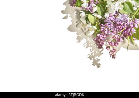 Eleganti fiori lilla viola e bianco su sfondo bianco con ombre morbide Foto Stock