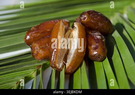 Macro shot di datteri freschi tunisini su foglie di palma tropicale. Foto Stock