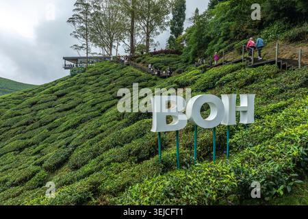 Insegna BOH bianca su una collina di tè terrazzata con turisti su un marciapiede e un caffè sopra alla piantagione di tè BOH, Cameron Highlands, Pahang, Malesia Foto Stock