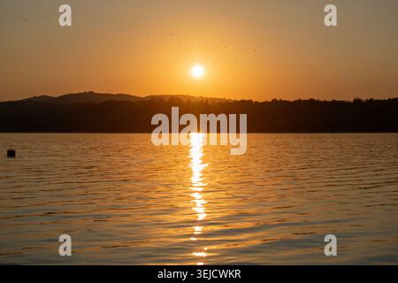 Tramonto dorato sul mare calmo con dolci increspature e foresta lontana. Pittoresco riflesso del sole nell'acqua Foto Stock