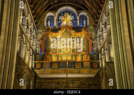 Organo a canne ornato all'interno della cattedrale di Nidaros a Trondheim, Norvegia Foto Stock