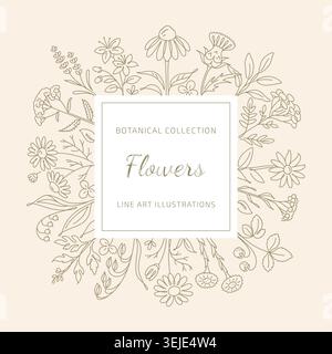 Cornice di fiori d'arte della linea Botanica con elegante collezione Wildflower Illustrazione Vettoriale