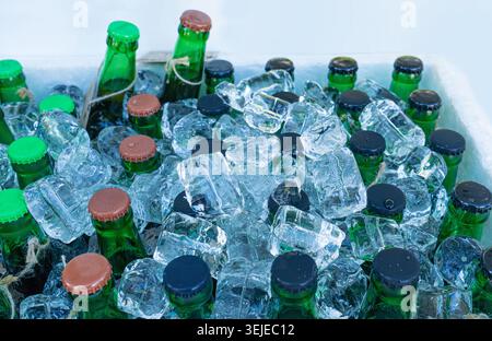 Bottiglie di birra in cubetti di ghiaccio, molti tappi per bottiglie fredde in scatola, cesto di birra ghiacciato, diverse bottiglie fredde, bevande fresche per feste estive in frigorifero Foto Stock