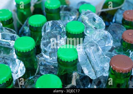 Bottiglie di birra in cubetti di ghiaccio, molti tappi per bottiglie fredde in scatola, cesto di birra ghiacciato, diverse bottiglie fredde, bevande fresche per feste estive in frigorifero Foto Stock