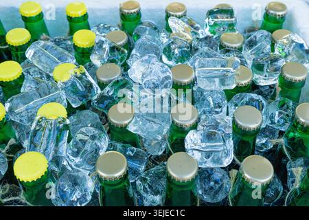 Bottiglie di birra in cubetti di ghiaccio, molti tappi per bottiglie fredde in scatola, cesto di birra ghiacciato, diverse bottiglie fredde, bevande fresche per feste estive in frigorifero Foto Stock