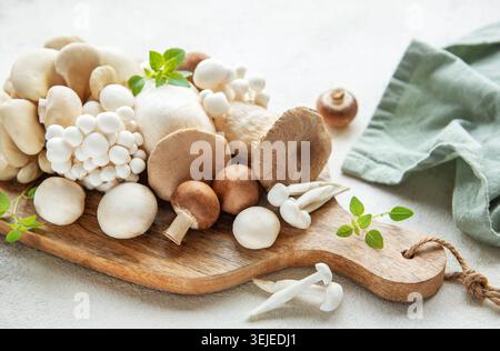 Assortimento di funghi vari Foto Stock